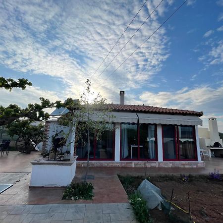 Country Lux Apartment Near Airport Markópoulon Buitenkant foto