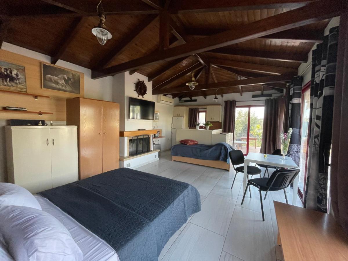 Country Lux Apartment Near Airport Markópoulon Buitenkant foto
