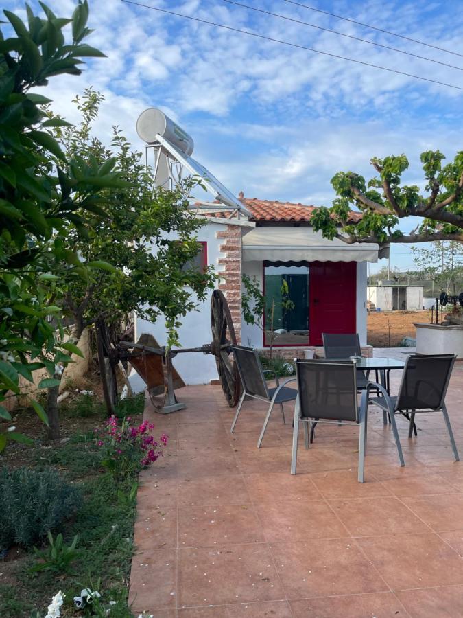 Country Lux Apartment Near Airport Markópoulon Buitenkant foto